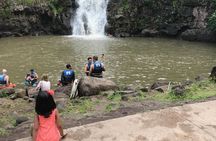 North Shore / Waimea, Falls Day & Swim with Turtles