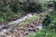 North Shore / Waimea, Falls Day & Swim with Turtles