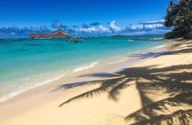Customizable Island Tours Tours on Oahu