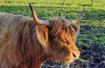 Private Central Highlands Driving Tour