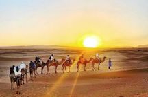 2 Days 1 Night Amazing Zagora Desert Tour From Marrakech