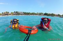 Swim with sea turtles