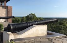 Kuala Selangor Fireflies Experience — Day Trip from Kuala Lumpur