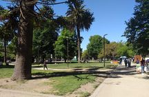 Walking Tour around Concepcion City Centre