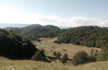 Cheese farm tour in the katun