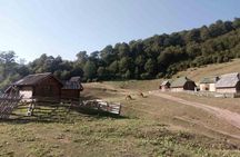 Cheese farm tour in the katun