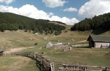Cheese farm tour in the katun