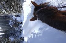 Ketmen ridge skitour programme