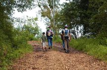 Birding Hike: Day Birdwatching in Kathmandu