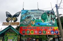 Cameron Highlands Amazing Day Trip Tour with Local Lunch