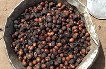 Tamale Cultural Experience - Half Day