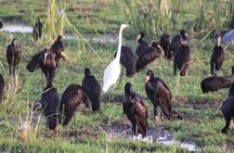 Ngorongoro Day Trip From Arusha / Kilimanjaro