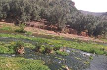 Private day trip to ouzoud waterfall from Marrakech