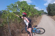 e-MTB Tour - Durrells Farm & Crab Lake [30Km - 18Mi]