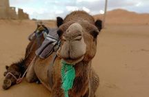  3 Days Luxury private Desert Tour From Marrakech To Fez