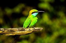 Yala National park with tickets with jeep safari from Hambantota