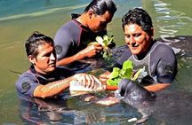 Iquitos City Tour (FULL DAY)