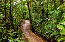 Hanging Bridges & Tour Guide From Monteverde