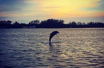 Anna Maria Island Dolphin Sunset Boat Tour