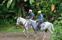 Explore Costa Rica on Horseback- Manuel Antonio tour