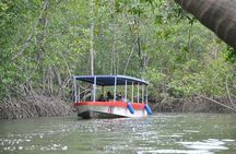Damas Island by Boat Tour From Manuel Antonio