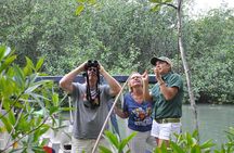 Damas Island by Boat Tour From Manuel Antonio