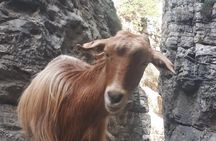 Explore IMBROS GORGE.