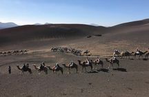 Timanfaya & Lanzarote Volcano Experience