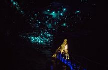 90-Minute Guided Ruakuri Cave Tour Waitomo