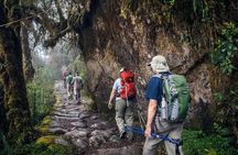 Machu Picchu Private Tour: Expert Guide & Professional Photos