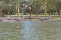 5 Days Masai Mara, Lake Naivasha, Lake Nakuru Safari