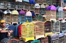 Malang local life kampong walking tour - city highlights in between // 4 - 6 hrs