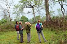 Nepal Birding
