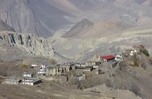 Annapurna Circuit Trek 