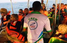 Whales and Dolphins Watching-Luxury Super Grade Cruiser(Hotel Pick up offered)