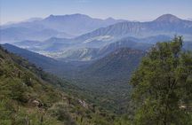 Darwin's Route: Traversing the Chilean Palm Forest
