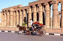 3-Hour Private Luxor Horse Carriage City Tour