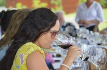 Private Wine Tours by Wine Explorers Uruguay