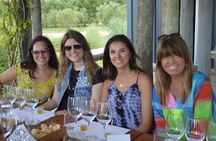 Private Wine Tours by Wine Explorers Uruguay