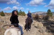 Horseback Riding Adventure from Reno