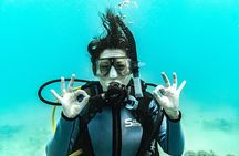 2 Tank Private SCUBA Party Diving Charter from Waikiki Hawaii