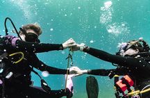 2 Tank Private SCUBA Party Diving Charter from Waikiki Hawaii