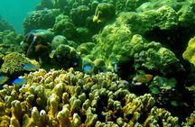 Private Surin Islands Longtail Boat Tour