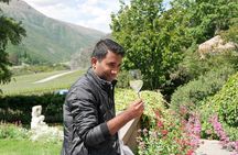 The Wine Trail Tour