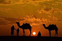 Overnight Camel Safari with Camping