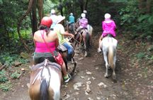 Mega Adventure Tour (Private transportation) 