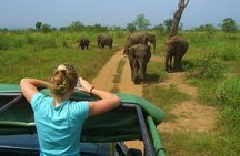 Day tour to Udawalawe from Colombo