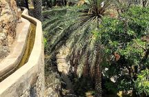 Nizwa Full Day tour