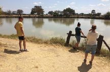 2Days 1Night tour to Mikumi National Park (Road trip)