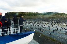 Ushuaia: Beagle Channel Navigation to the Penguin Colony